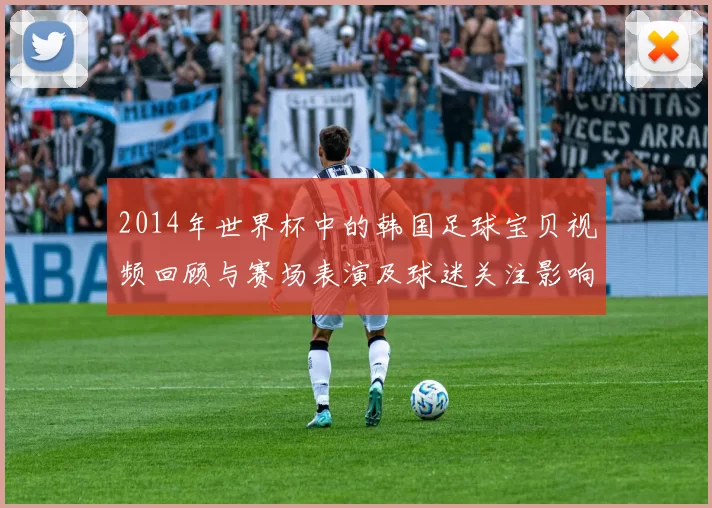 2014年世界杯中的韩国足球宝贝视频回顾与赛场表演及球迷关注影响解析