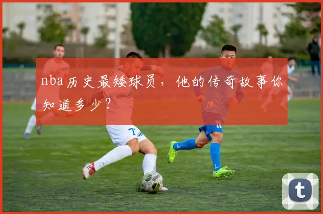 nba历史最矮球员,他的传奇故事你知道多少?