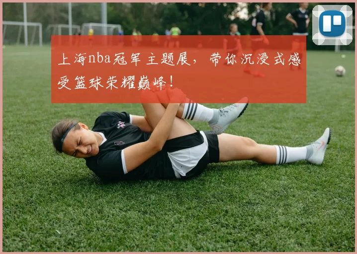 上海nba冠军主题展，带你沉浸式感受篮球荣耀巅峰！